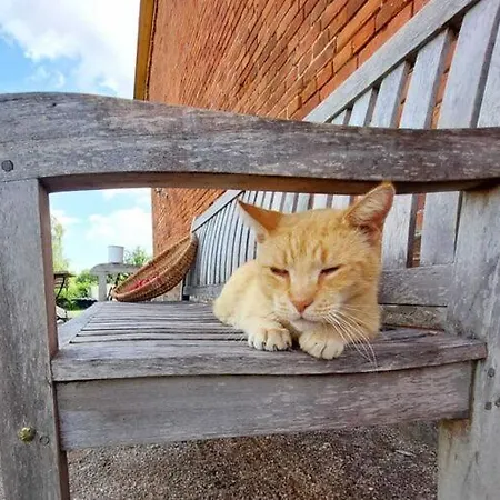 Landurlaub In Lubberstorf