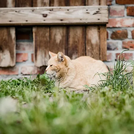 Landurlaub In * Lubberstorf