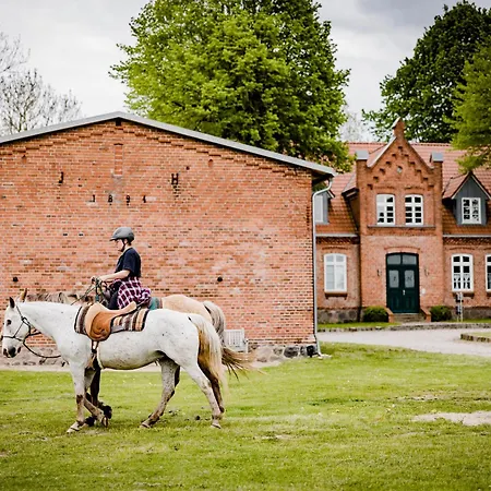 Διαμέρισμα Landurlaub In Lubberstorf